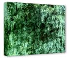 Gallery Wrapped 11x14x1.5 Canvas Art - Macrovision